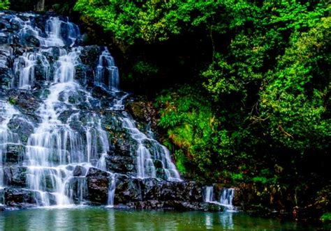 shillong 1 hour|1 hour from Shillong .